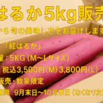 北海道産有機さつまいも販売